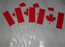 Canada hand stick flag